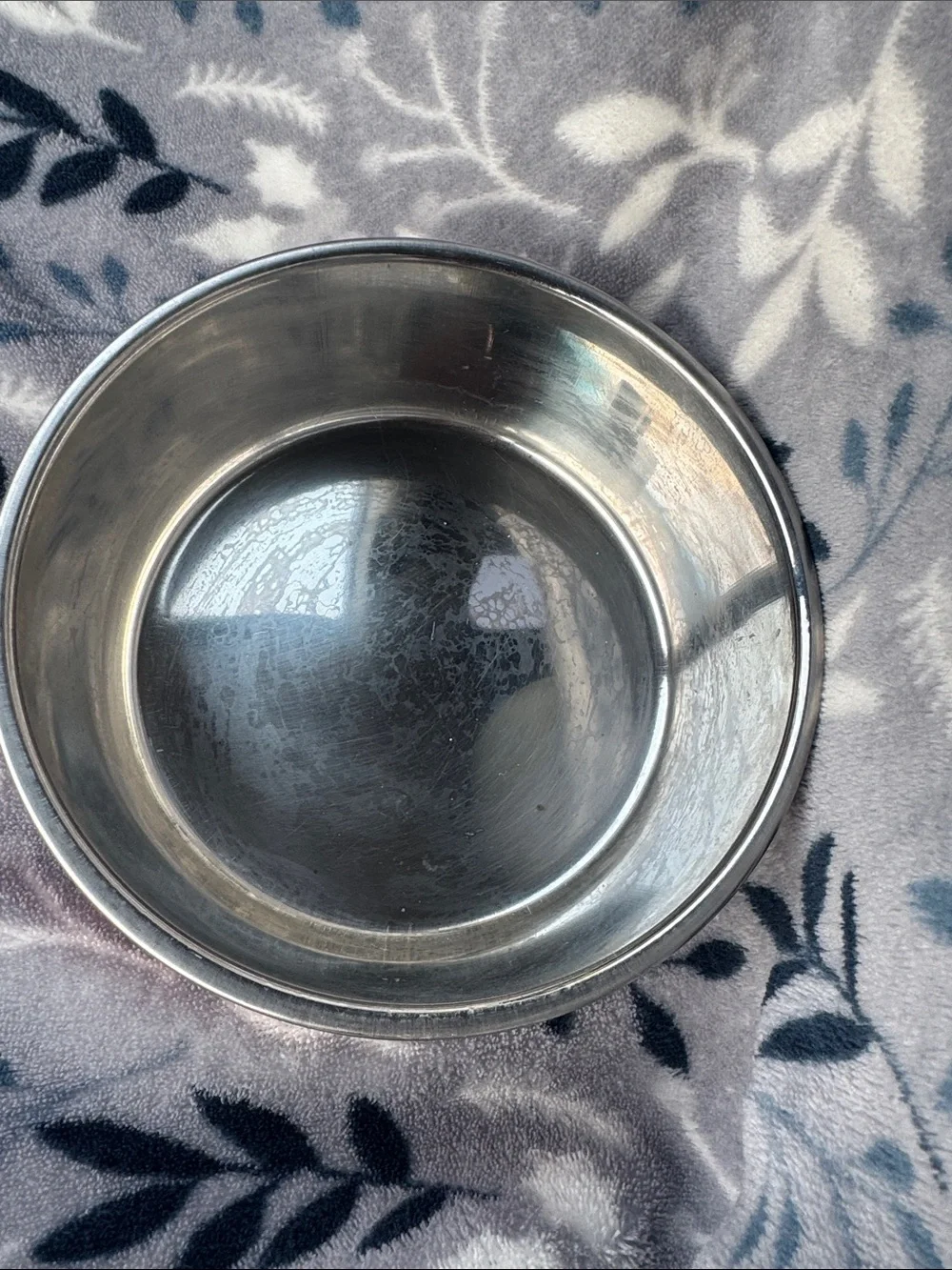 Orange Paw Prints and Dog Bones Metal Pet Bowl 6 1/2